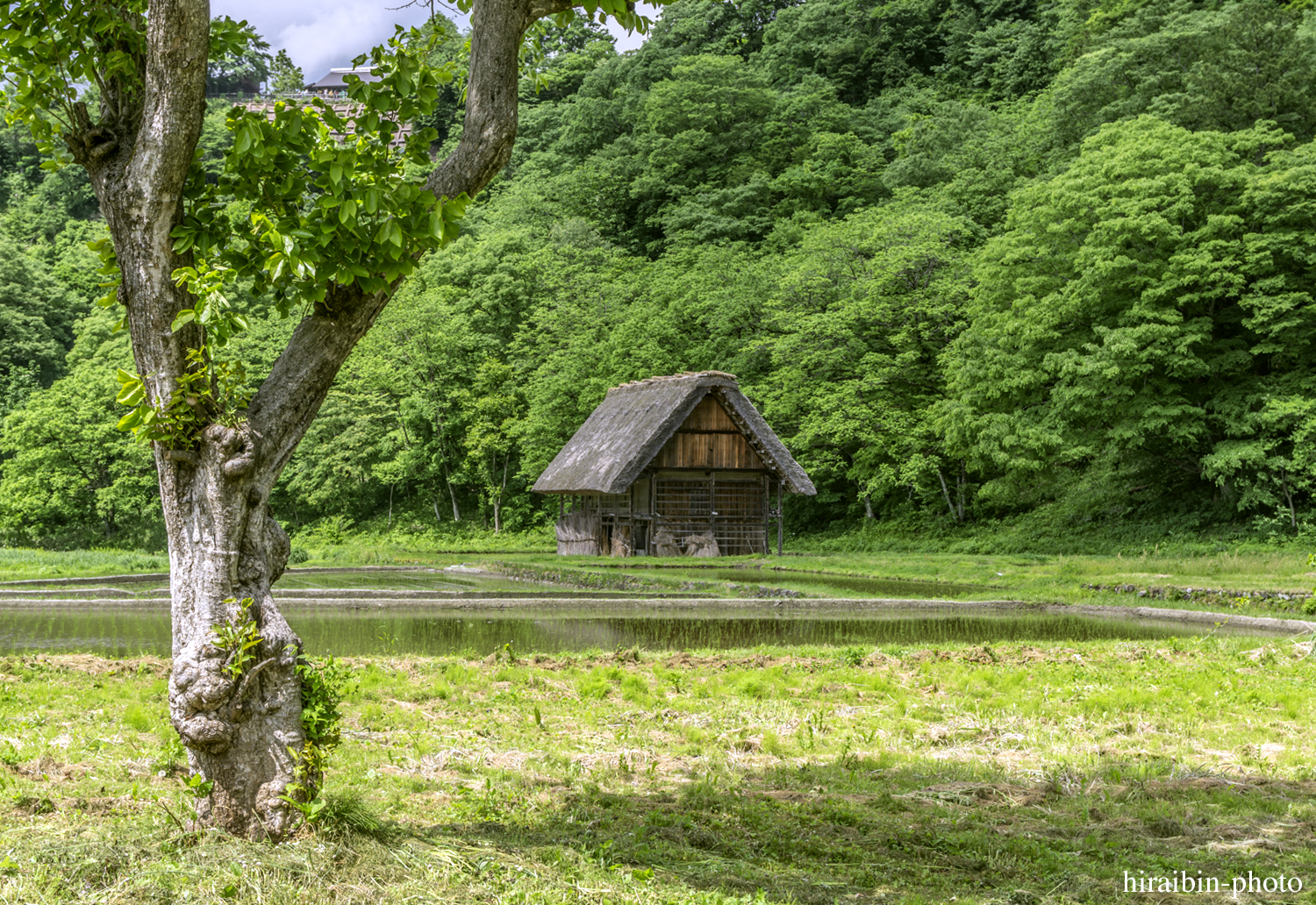 世界遺産「白川郷」編photolog_31