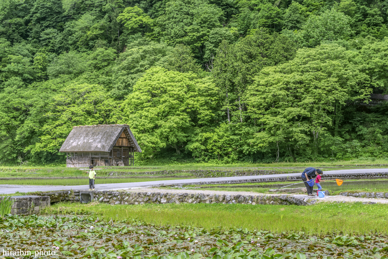 世界遺産「白川郷」編photolog_37