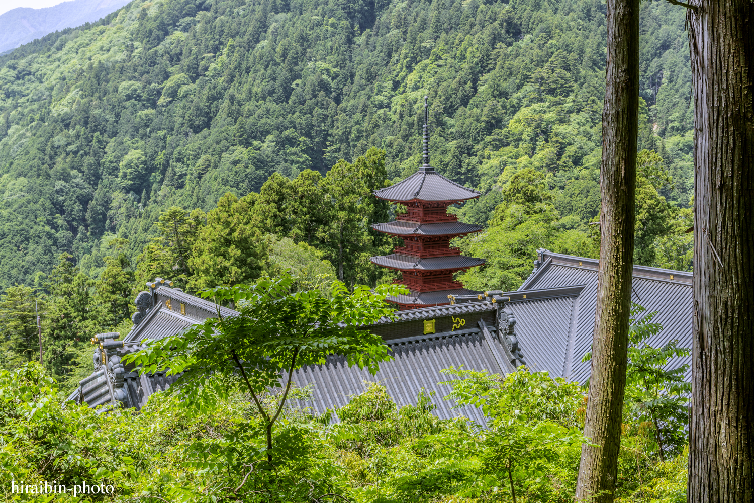 身延山久遠寺_photolog.29