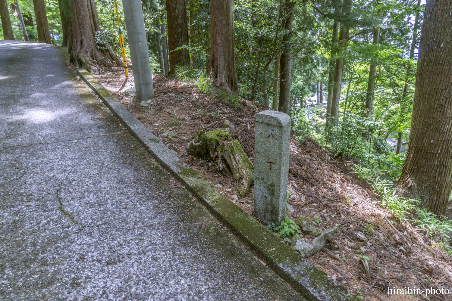 身延山久遠寺_photolog.30