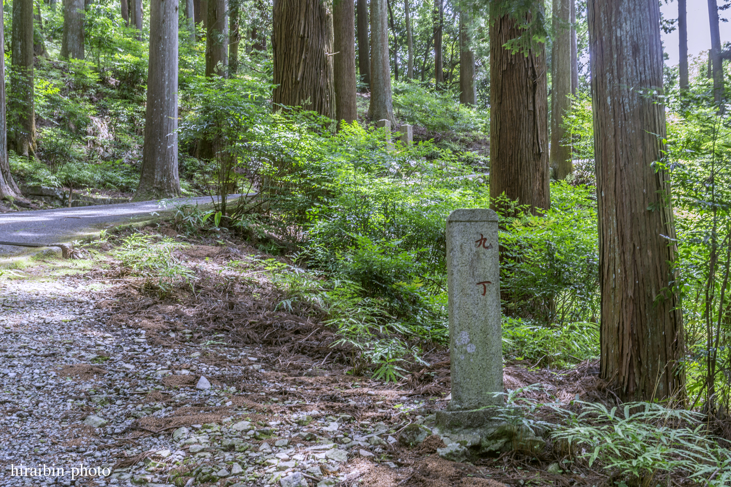 身延山久遠寺_photolog.31