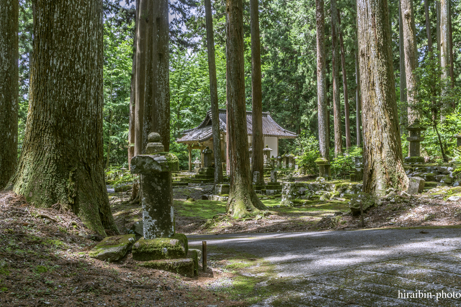 身延山久遠寺_photolog.35