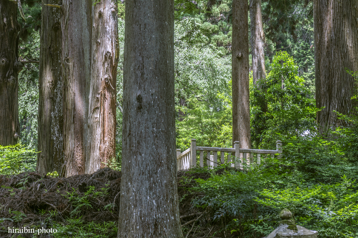 身延山久遠寺_photolog.36