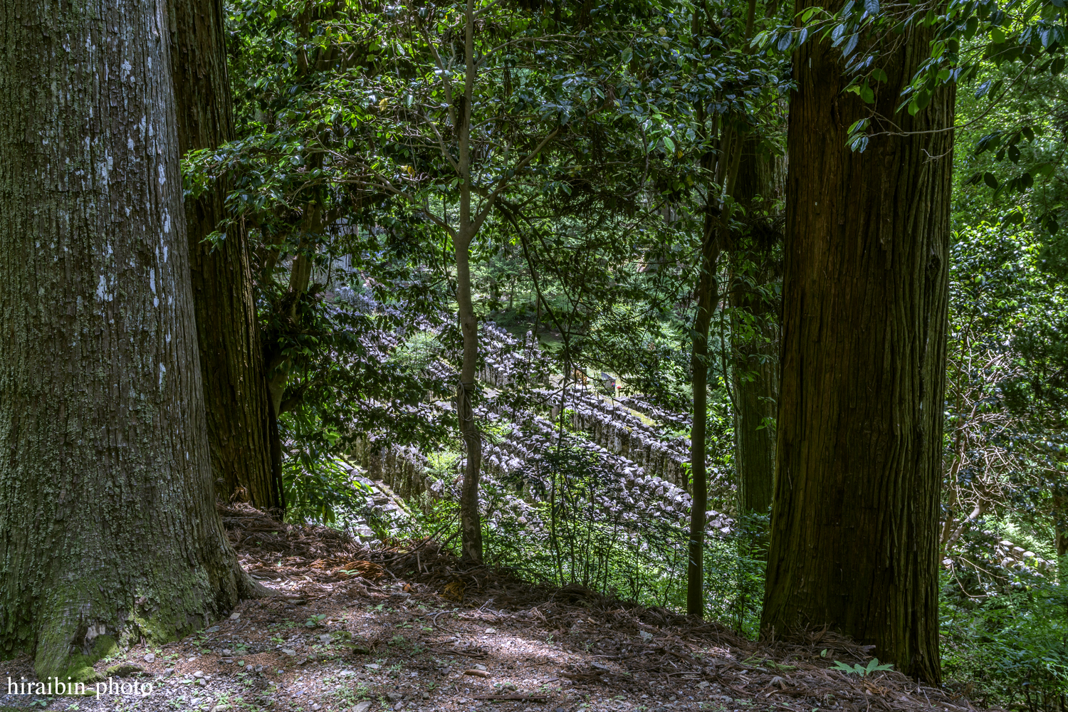 身延山久遠寺_photolog.40