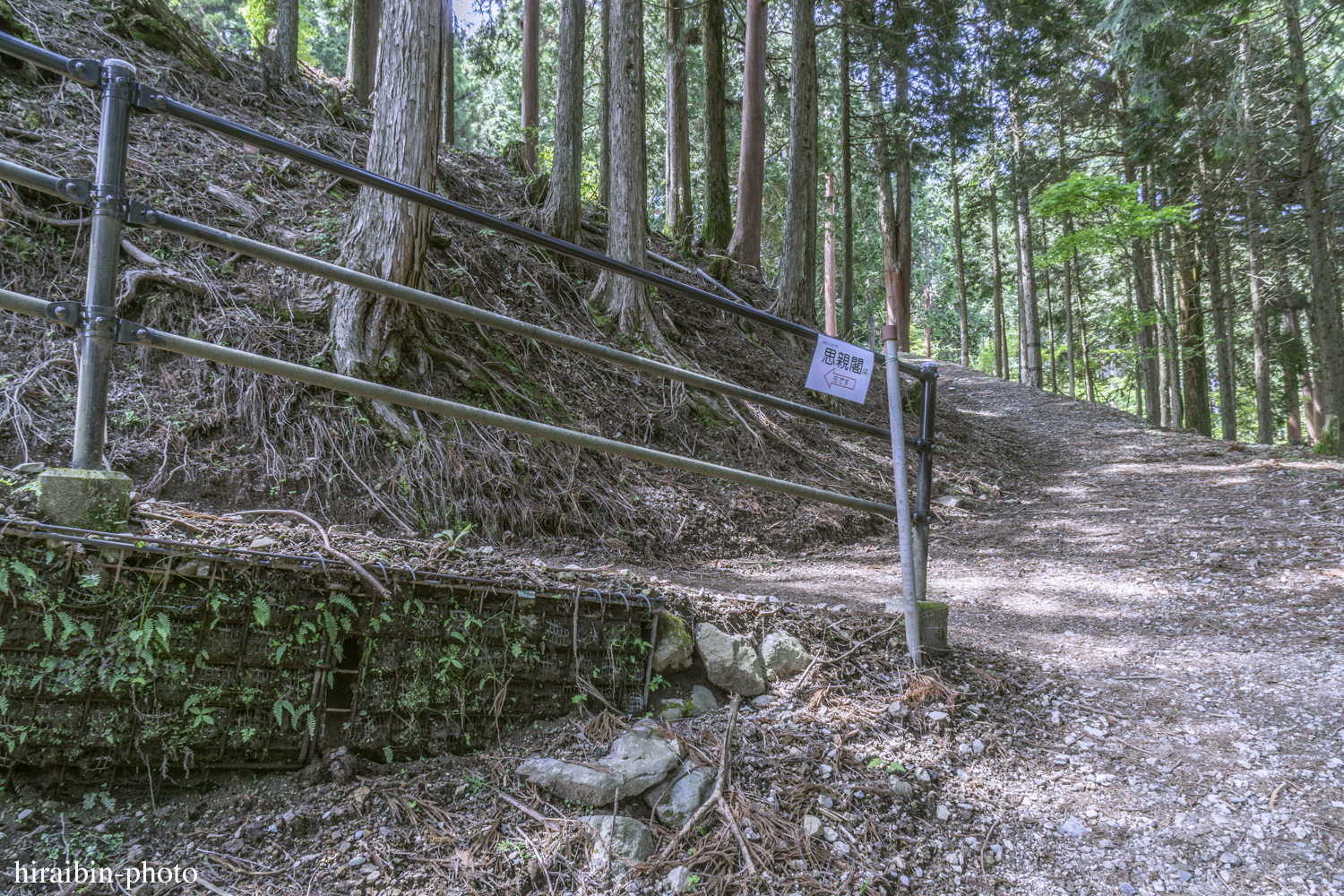 身延山久遠寺_photolog.63