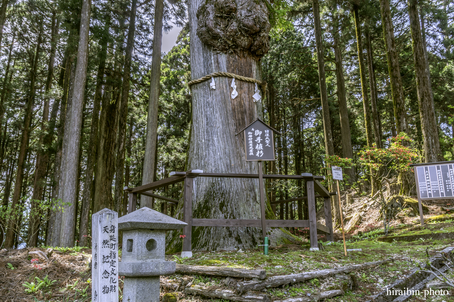 身延山久遠寺_photolog.74