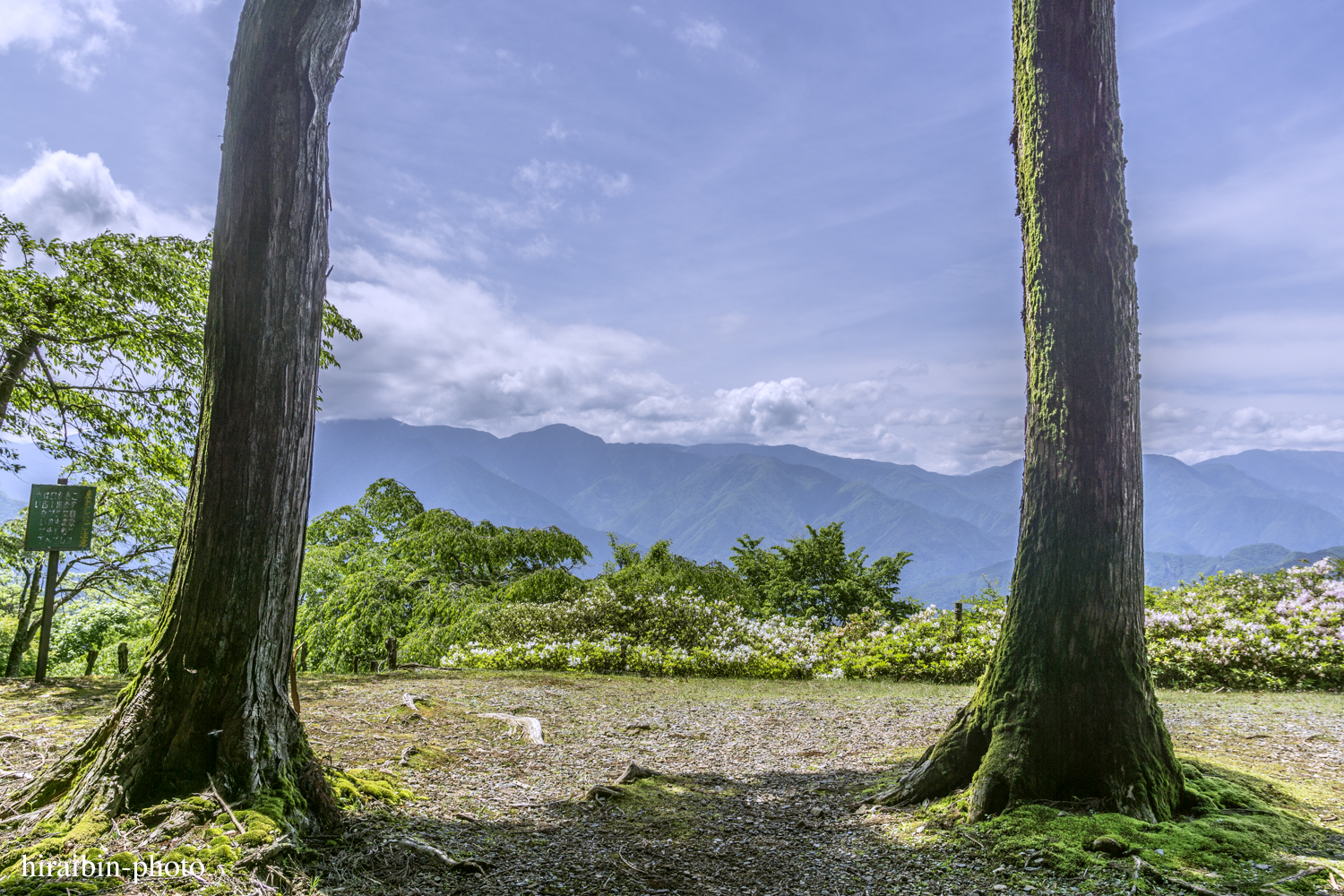 身延山久遠寺_photolog.82