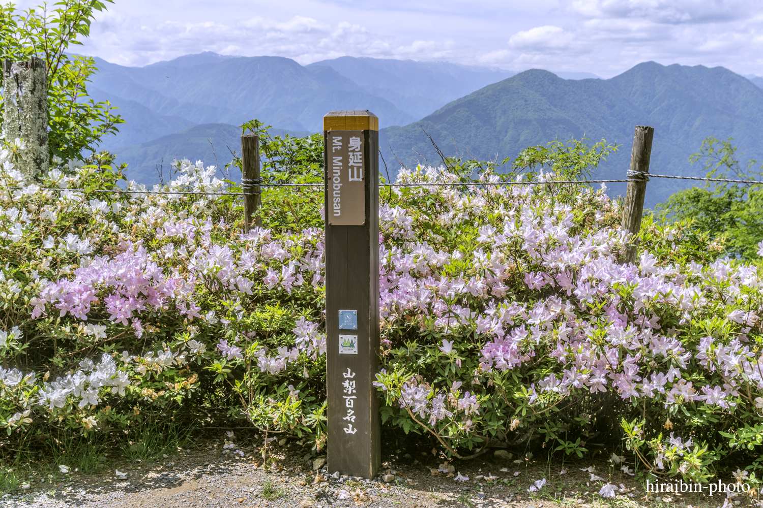 身延山久遠寺_photolog.83