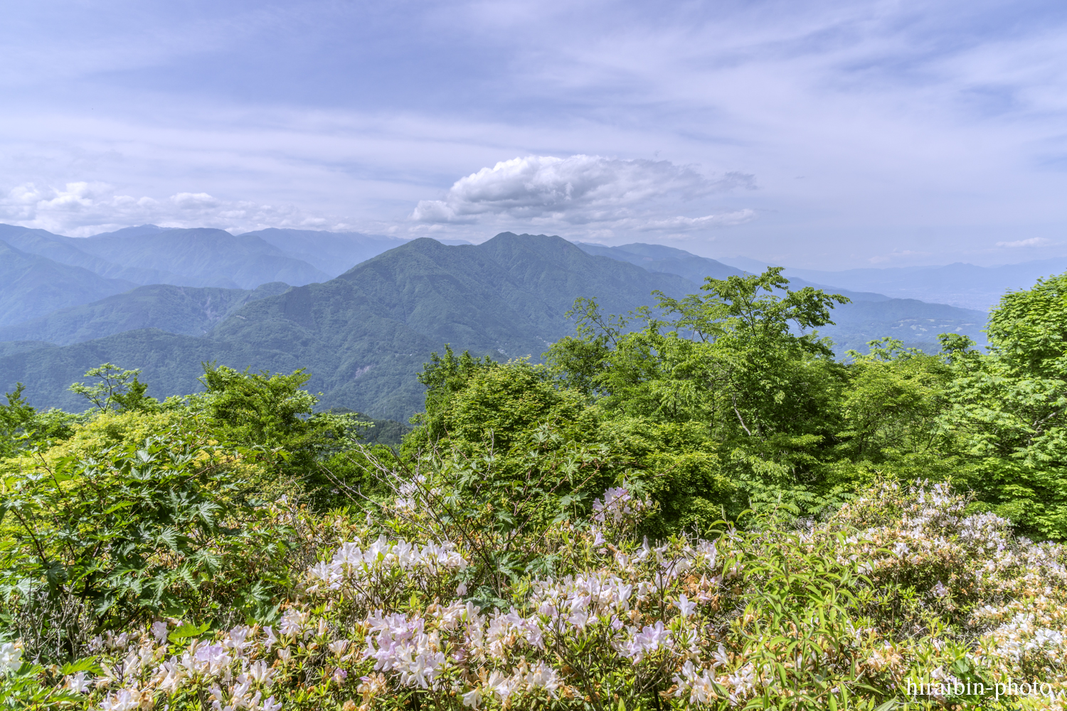 身延山久遠寺_photolog.85