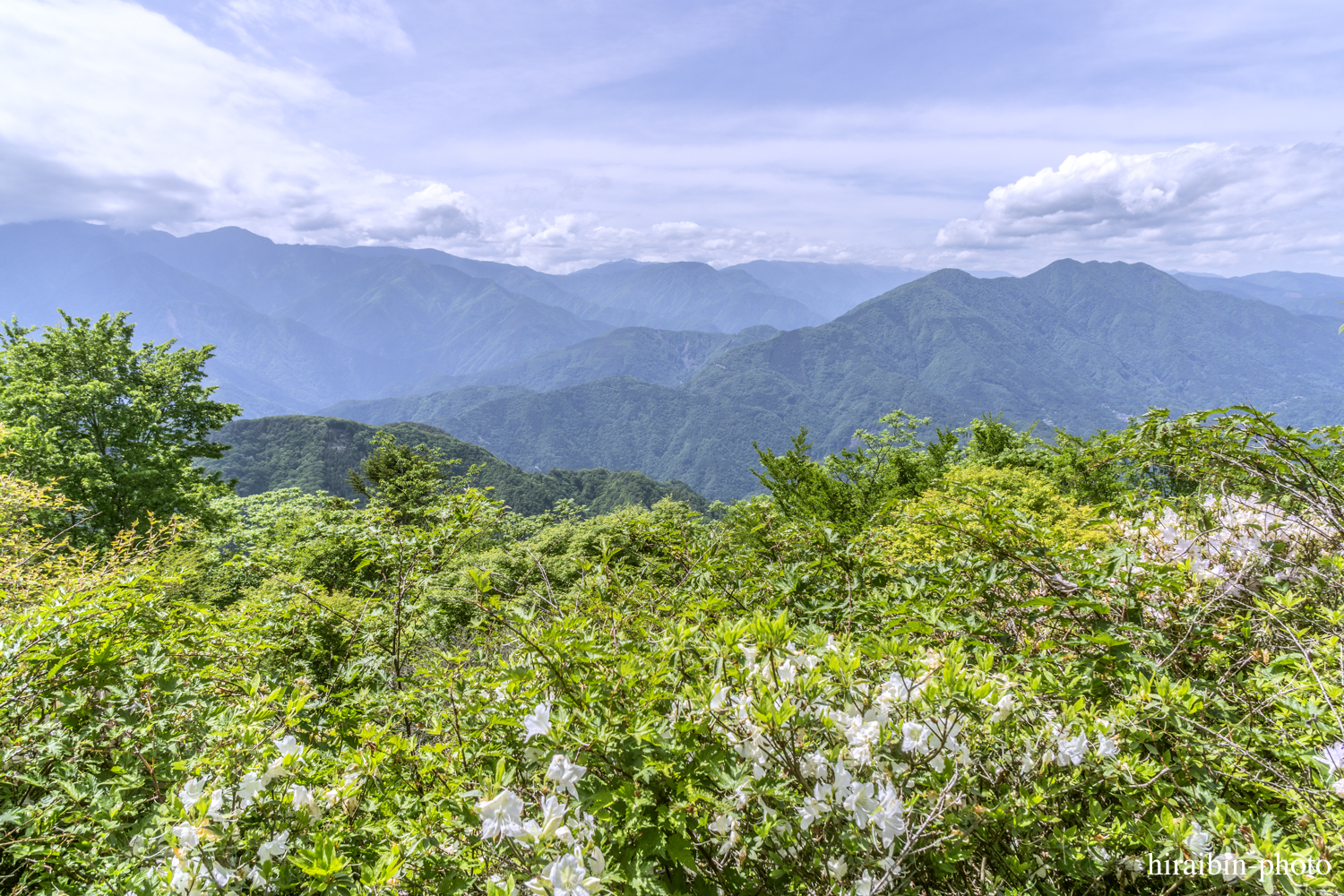 身延山久遠寺_photolog.86