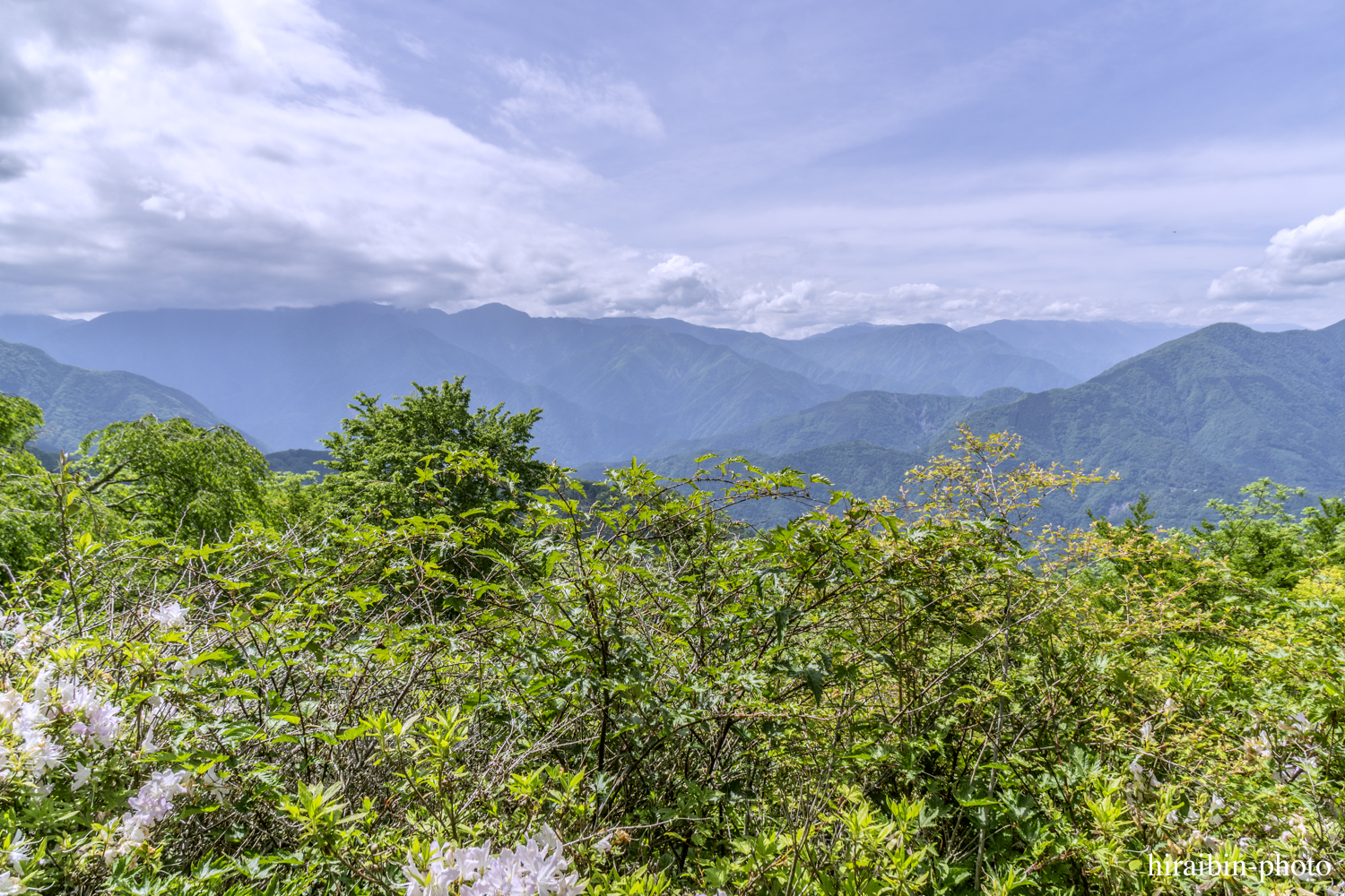 身延山久遠寺_photolog.87