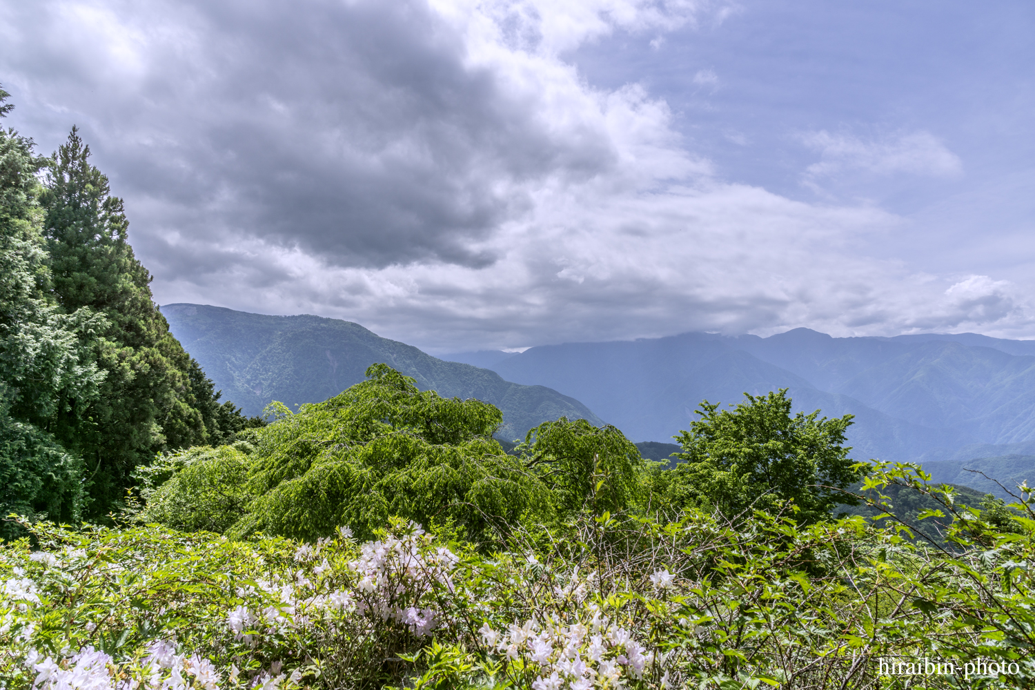 身延山久遠寺_photolog.88