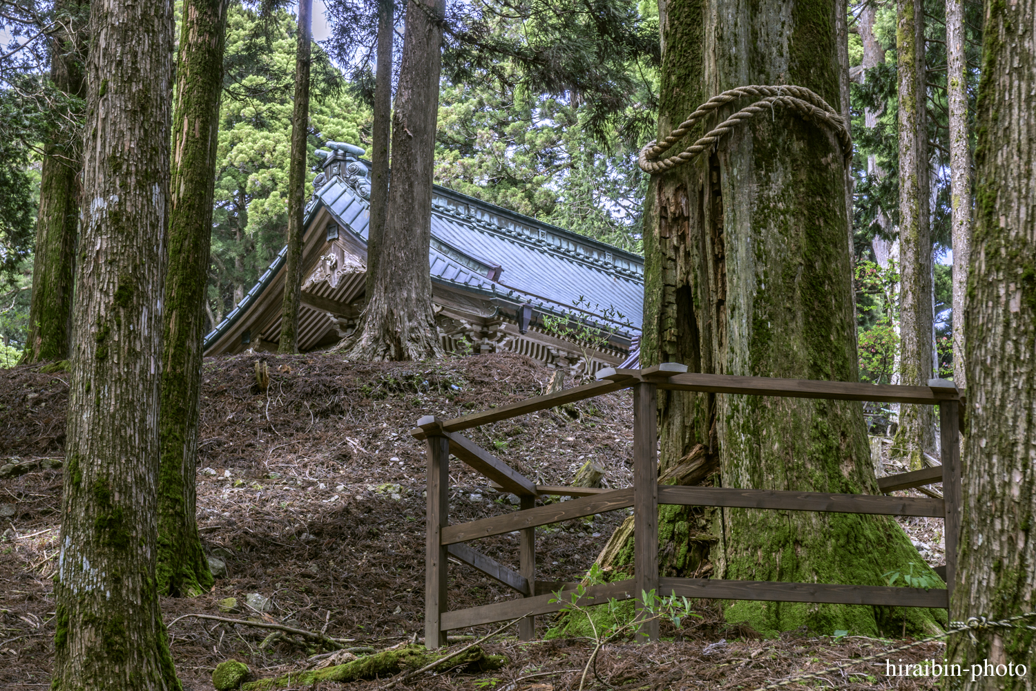 身延山久遠寺_photolog.90