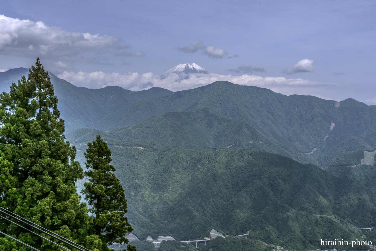 身延山久遠寺_photolog.92