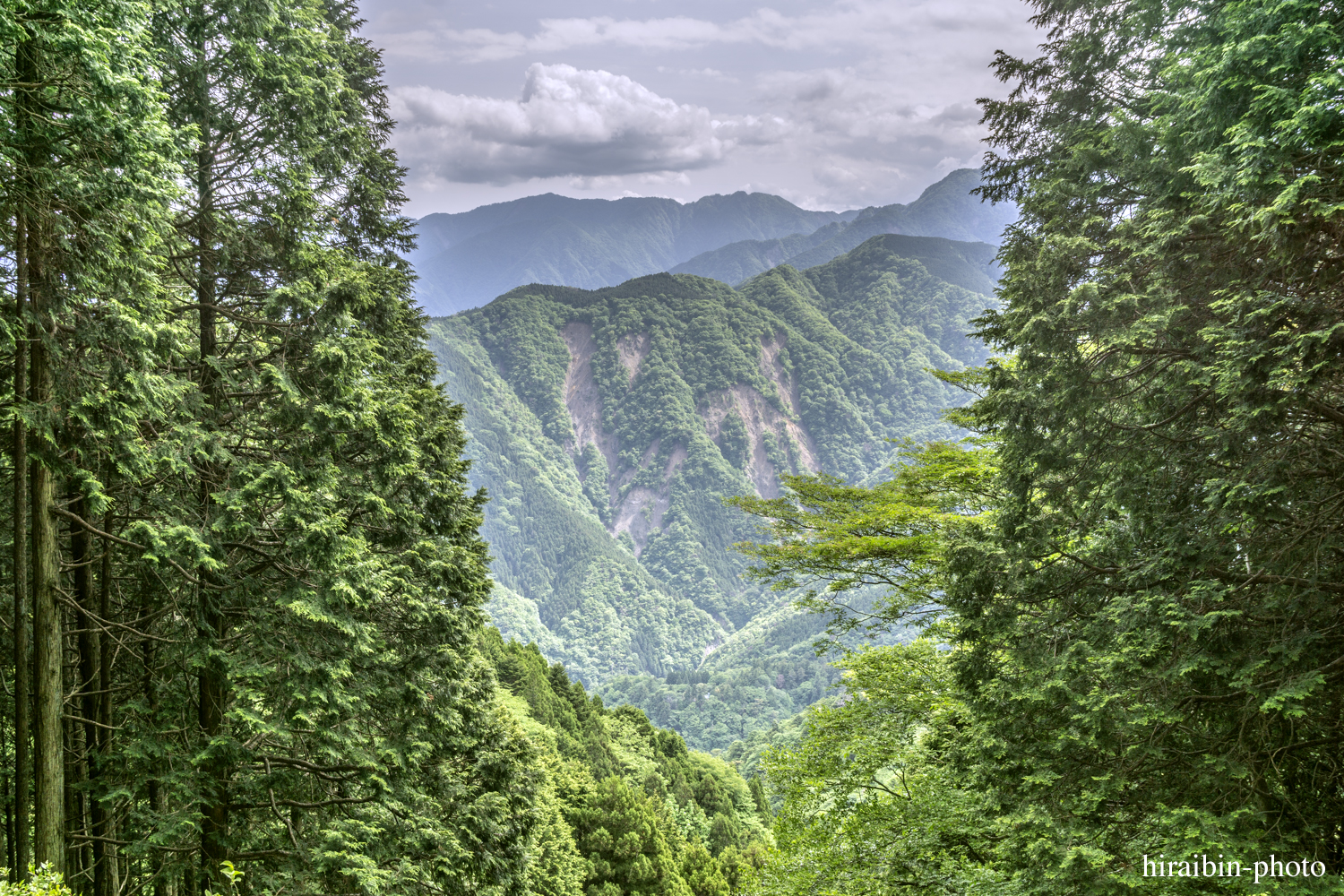 身延山久遠寺_photolog.97