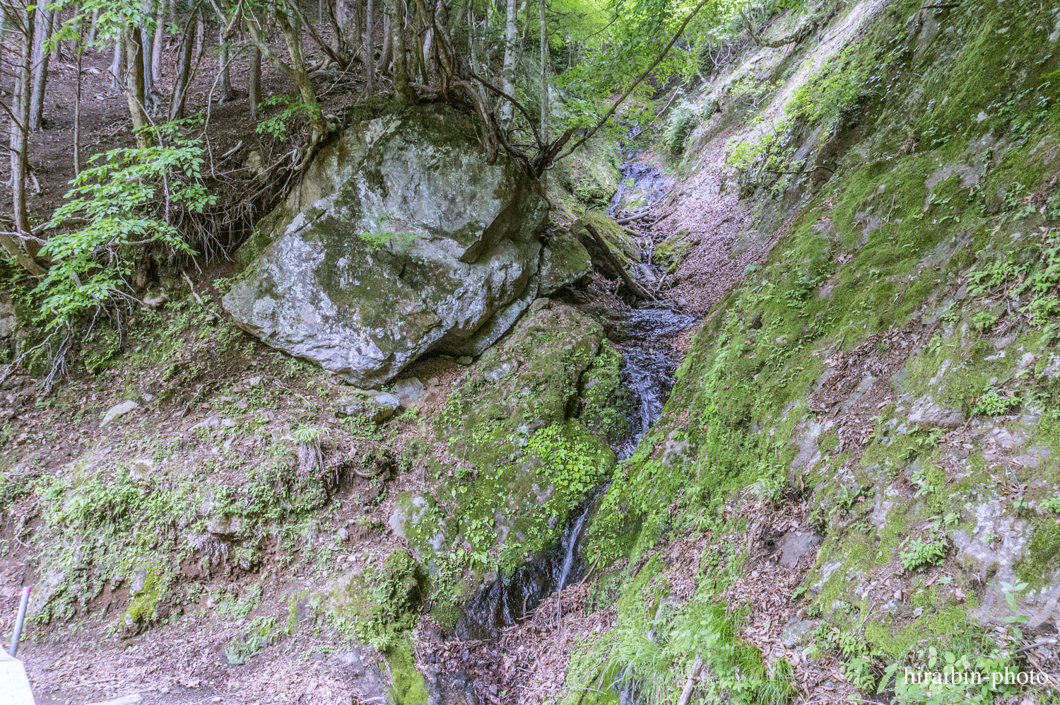 身延山久遠寺_photolog.105