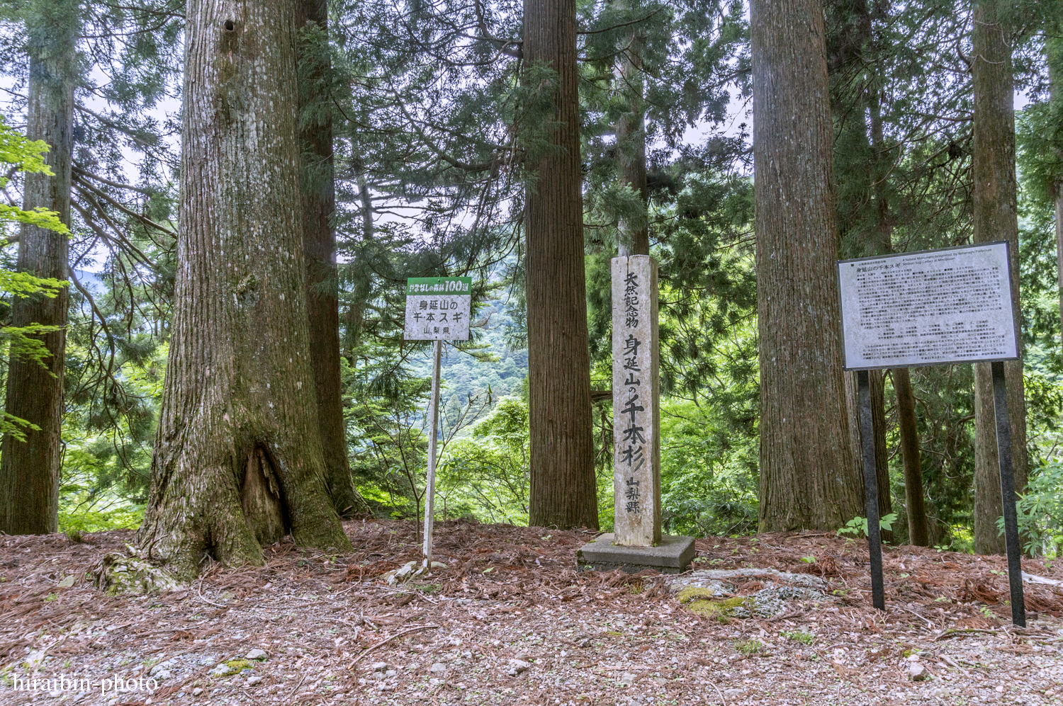 身延山久遠寺_photolog.106