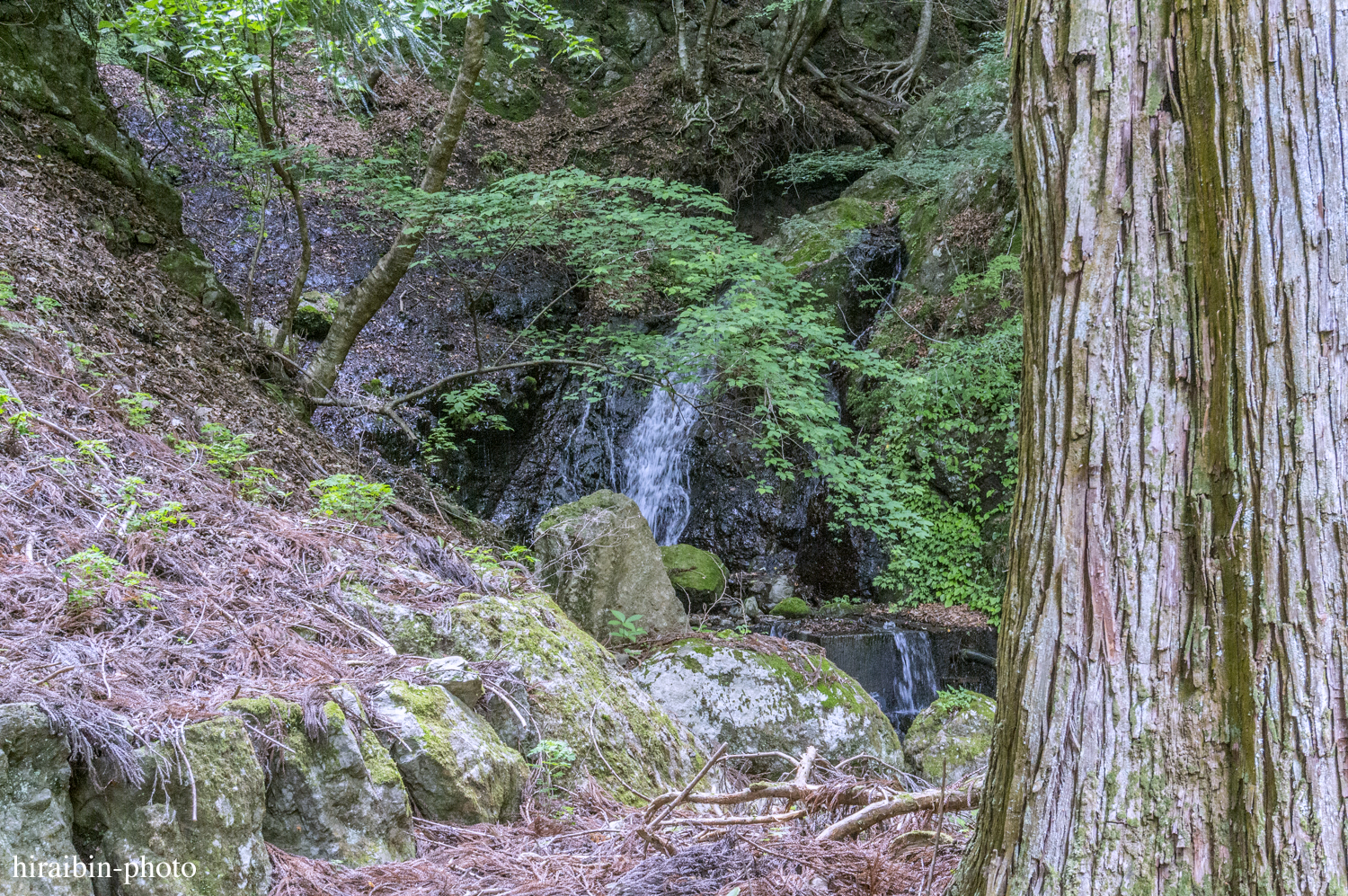 身延山久遠寺_photolog.108