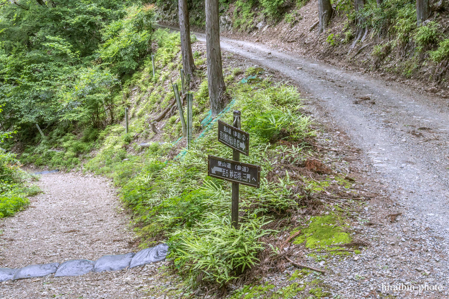 身延山久遠寺_photolog.115