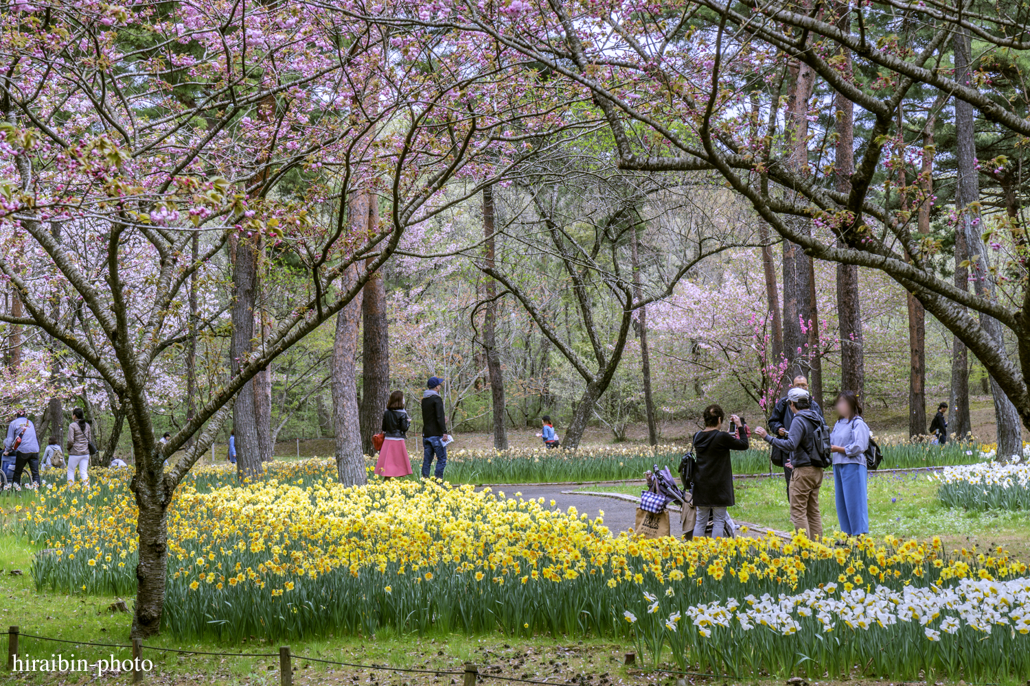 ひたち海浜公園_photolog.17