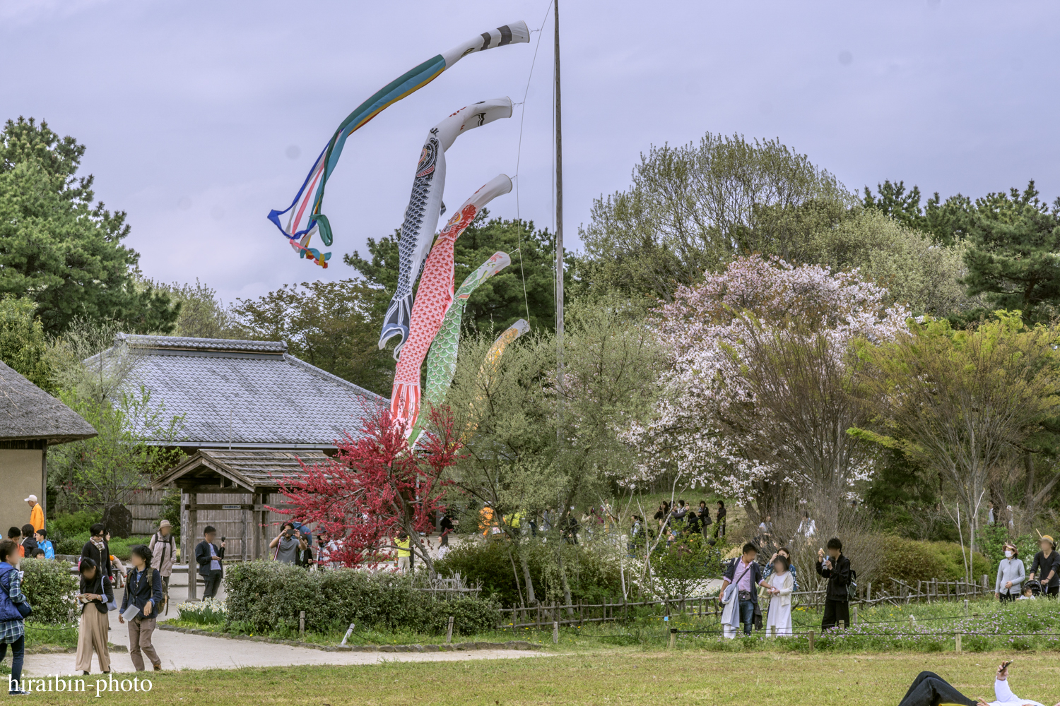 ひたち海浜公園_photolog.28