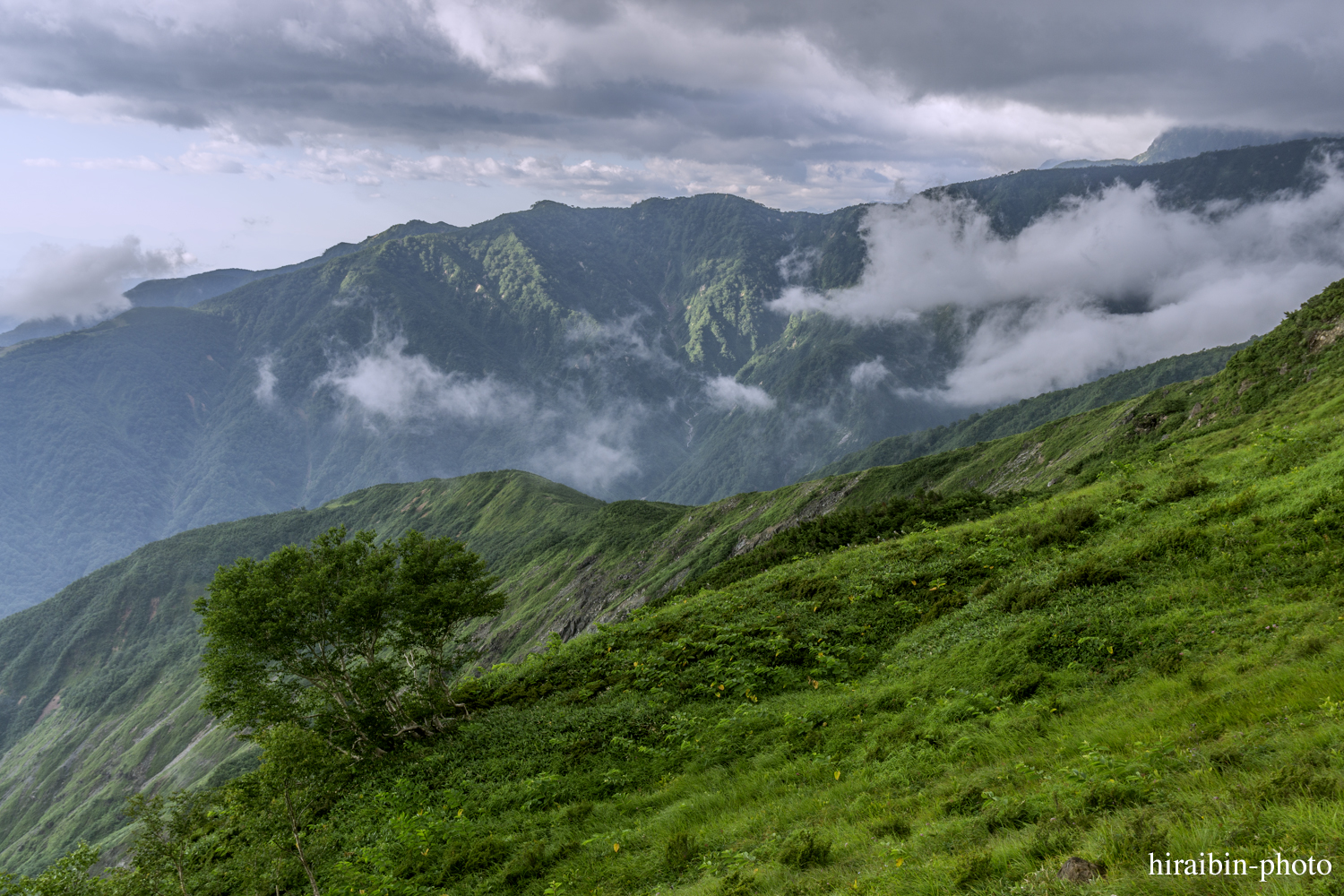 八方尾根・八方池_photolog.18