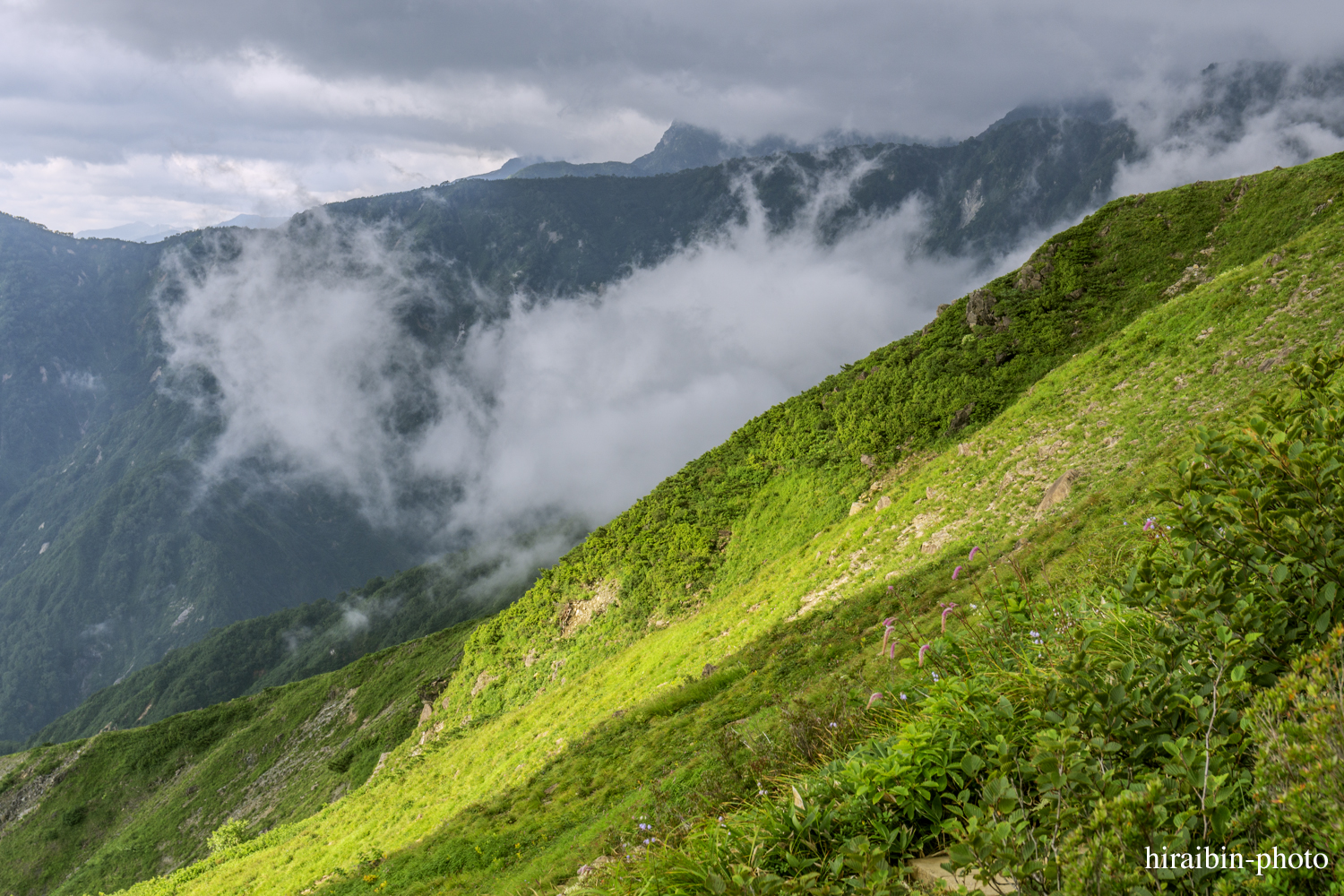 八方尾根・八方池_photolog.24