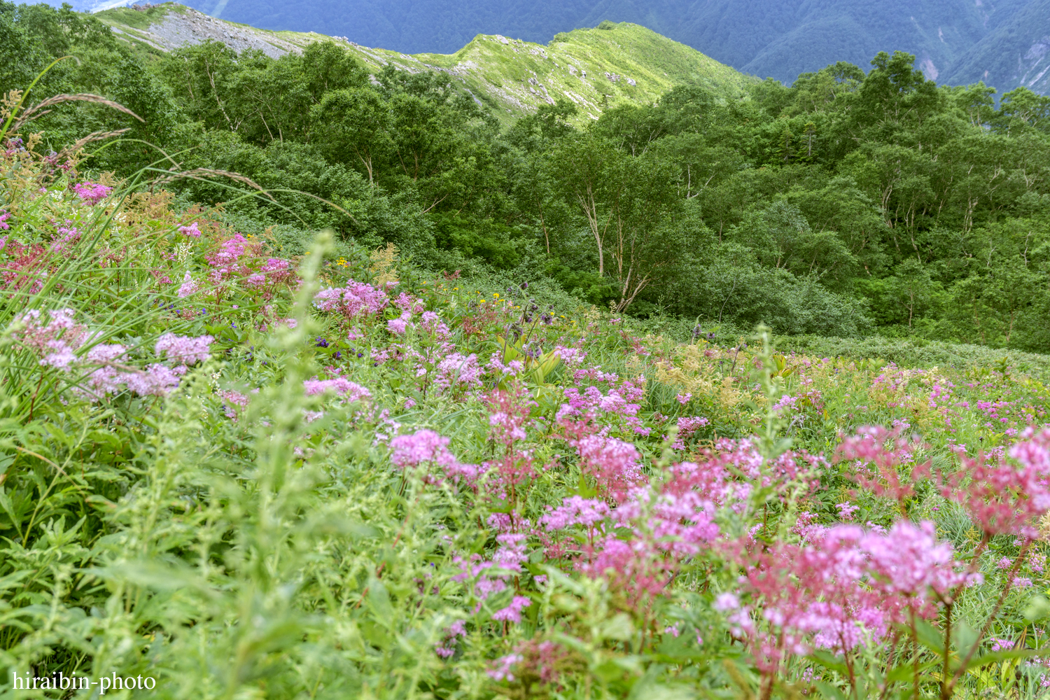 八方尾根・八方池_photolog.52