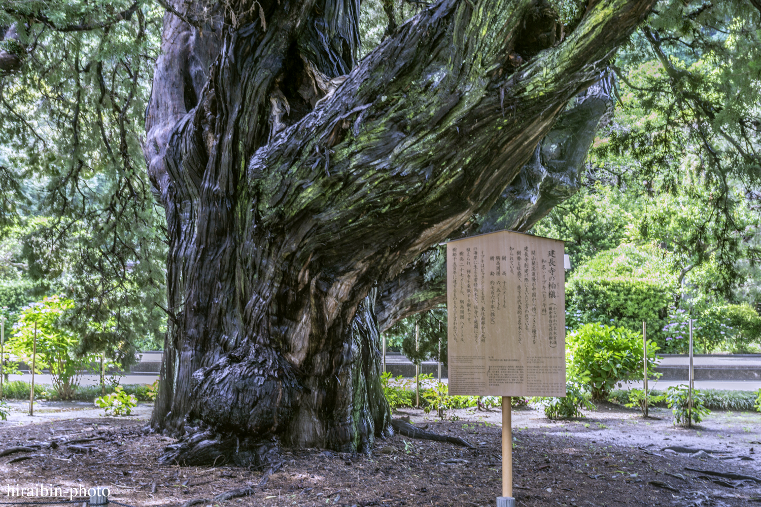 北鎌倉・建長寺_photolog.22