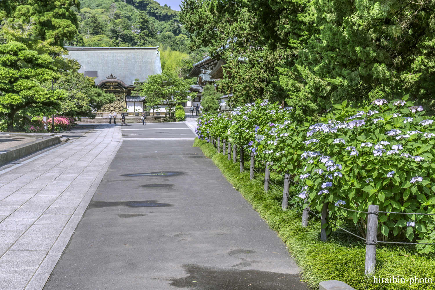 北鎌倉・建長寺_photolog.59