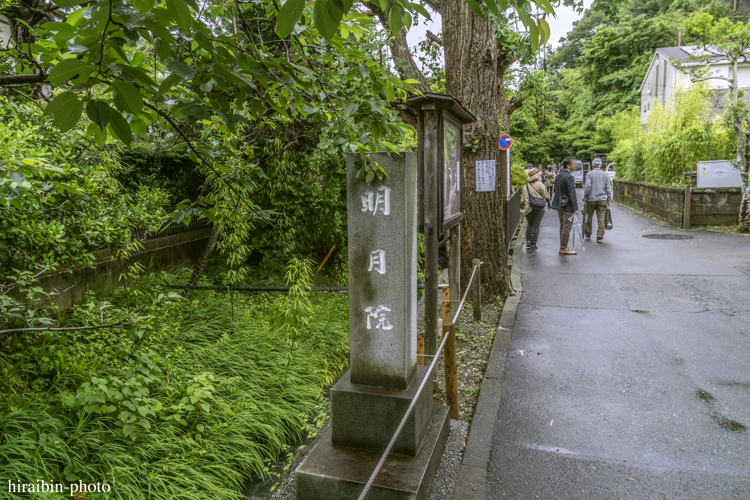 北鎌倉・明月院_photolog.03