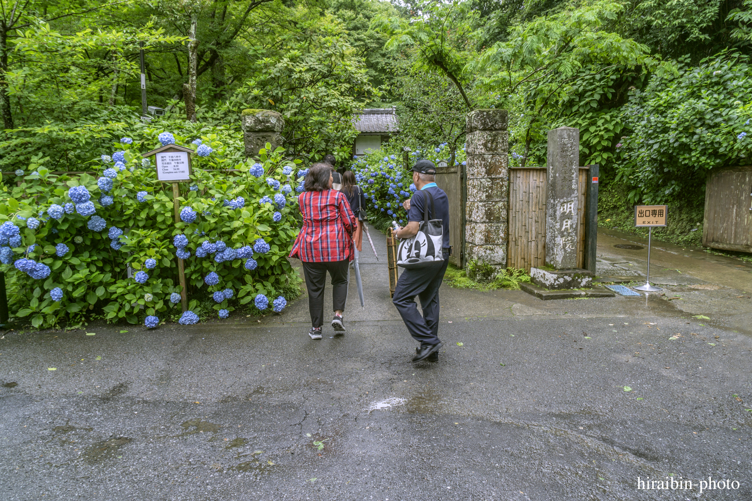 北鎌倉・明月院_photolog.04