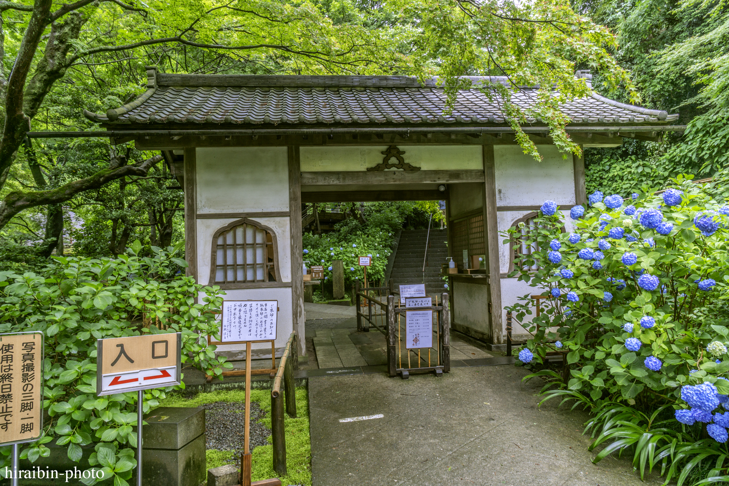 北鎌倉・明月院_photolog.07