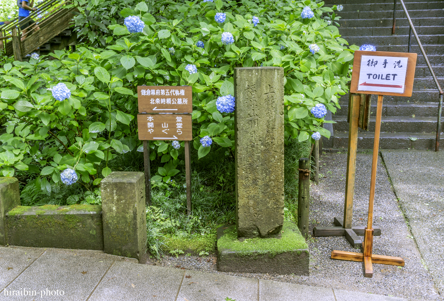 北鎌倉・明月院_photolog.09