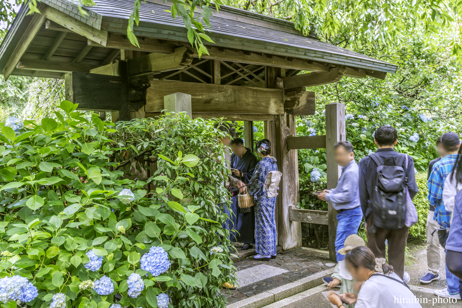 北鎌倉・明月院_photolog.41