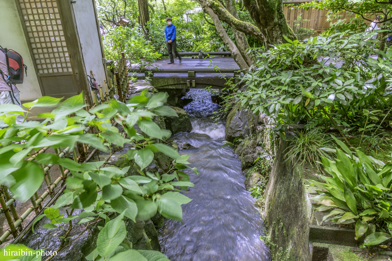 北鎌倉・明月院_photolog.58