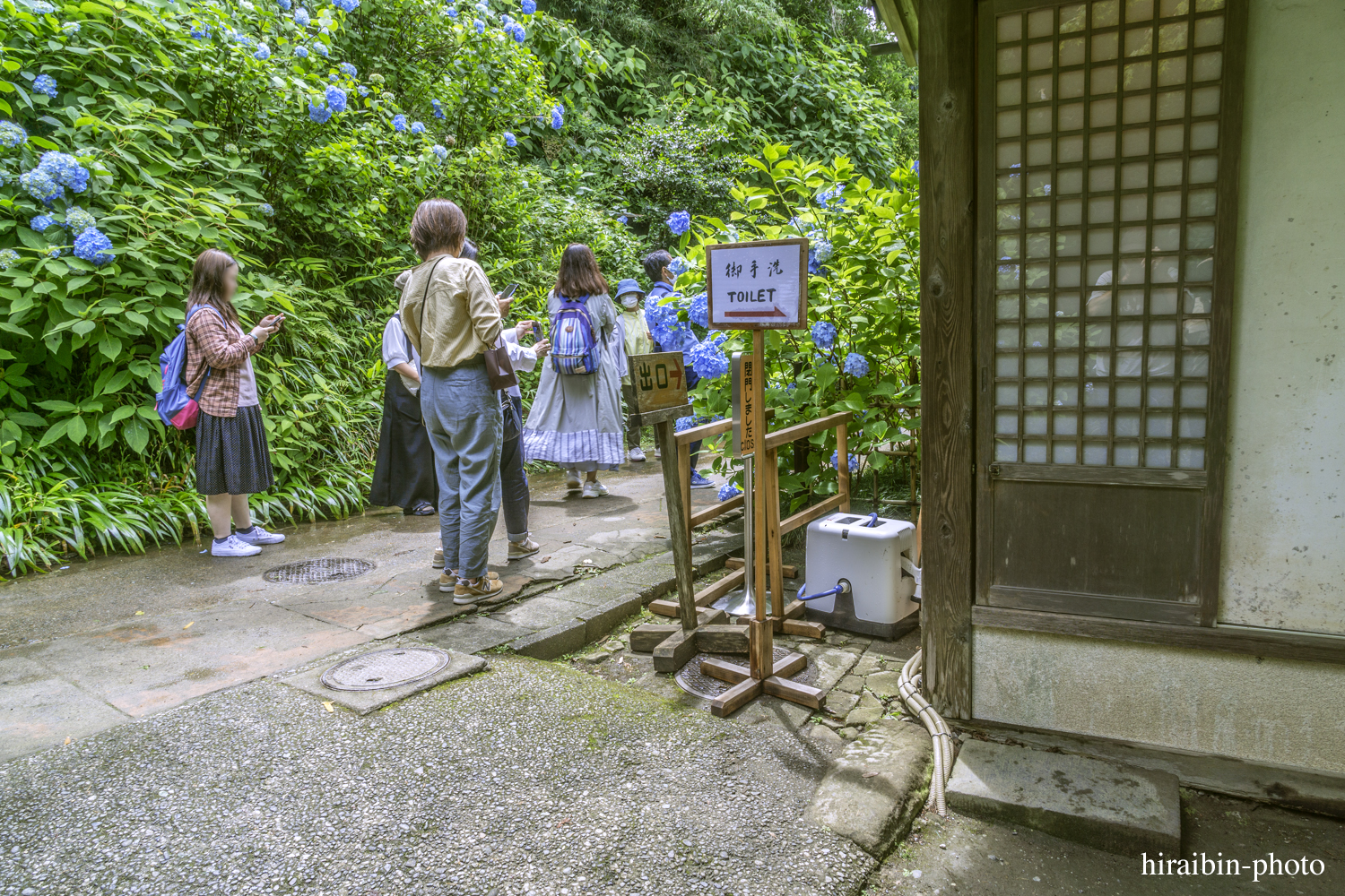 北鎌倉・明月院_photolog.60