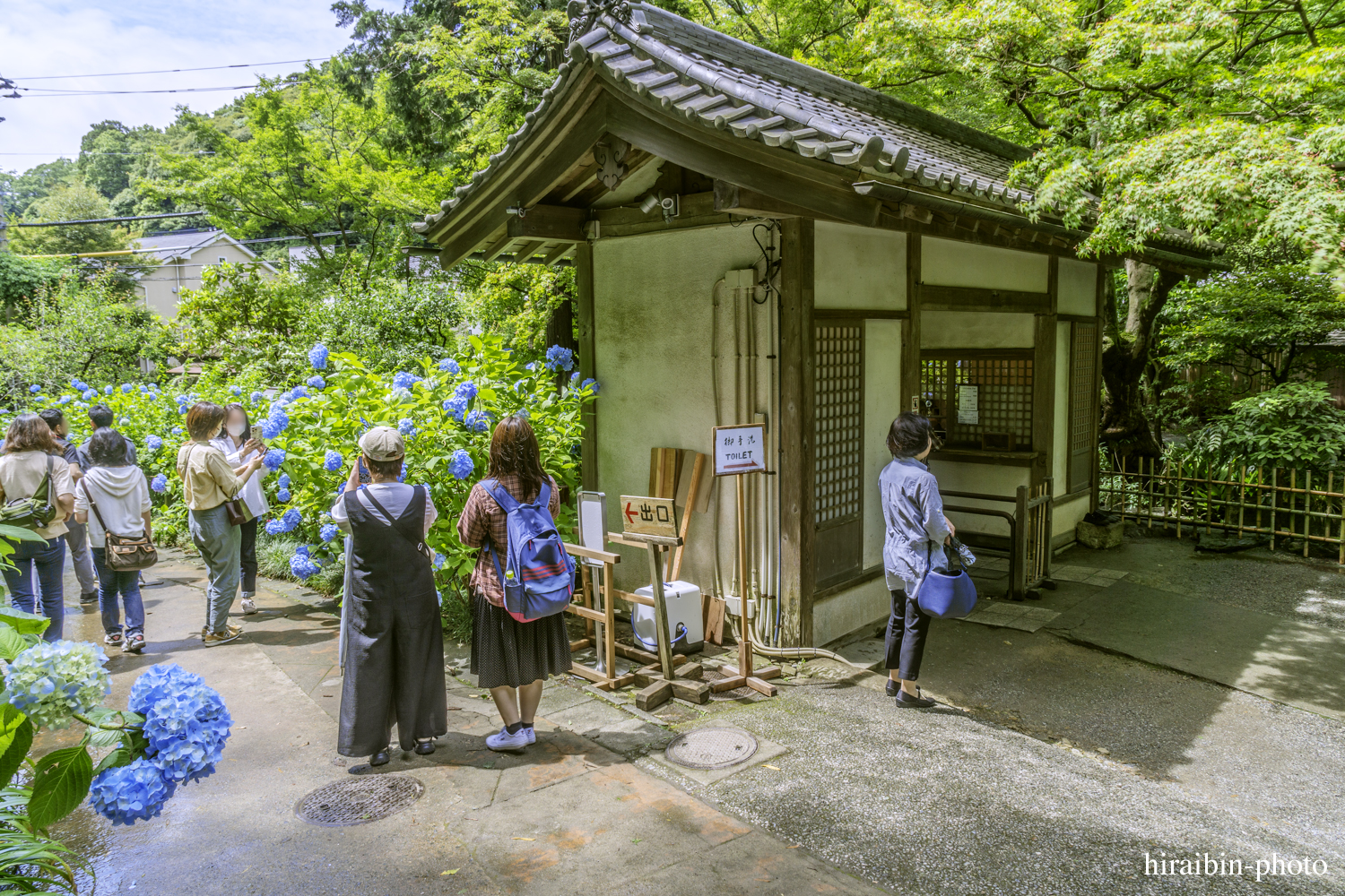 北鎌倉・明月院_photolog.61