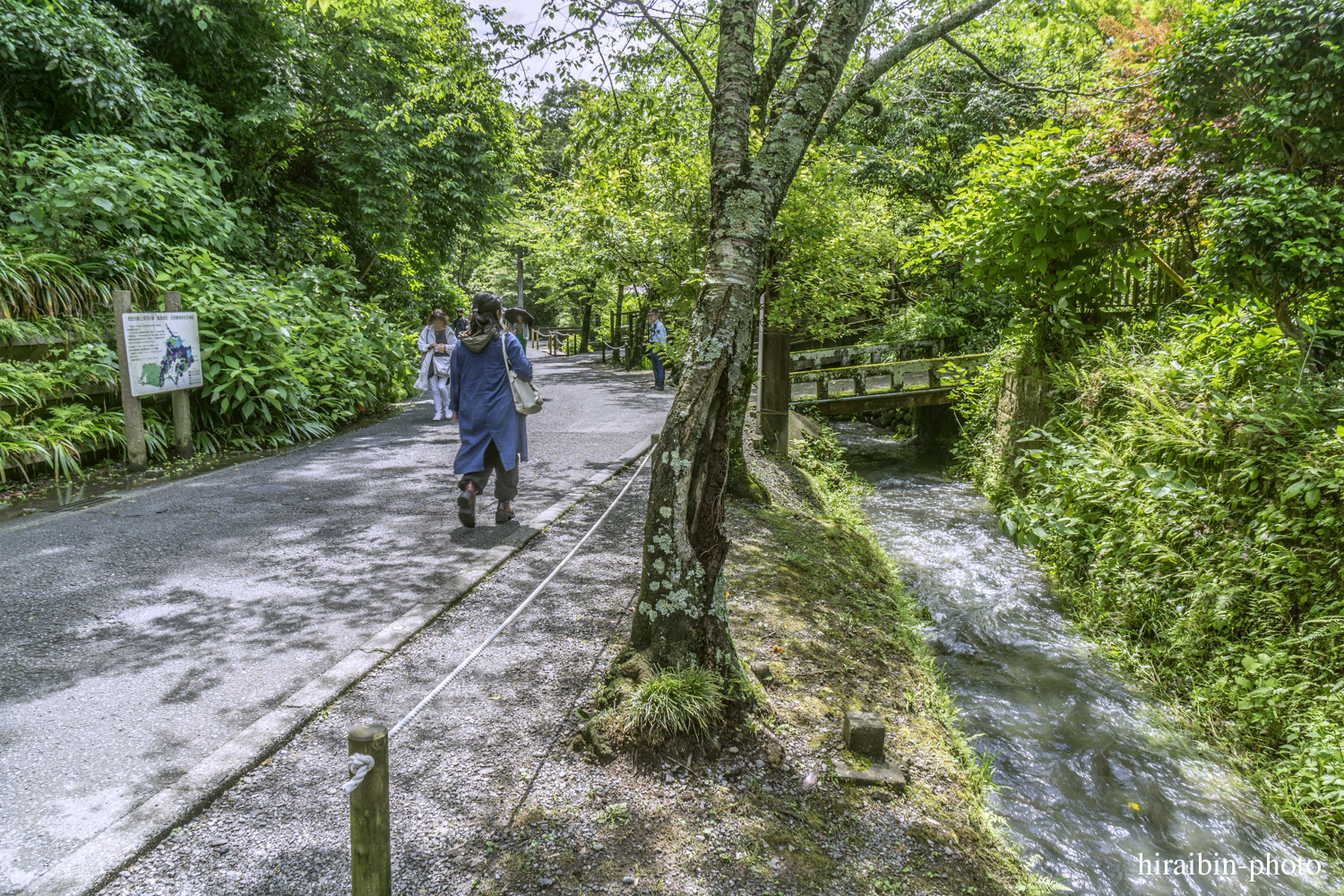 北鎌倉・明月院_photolog.62