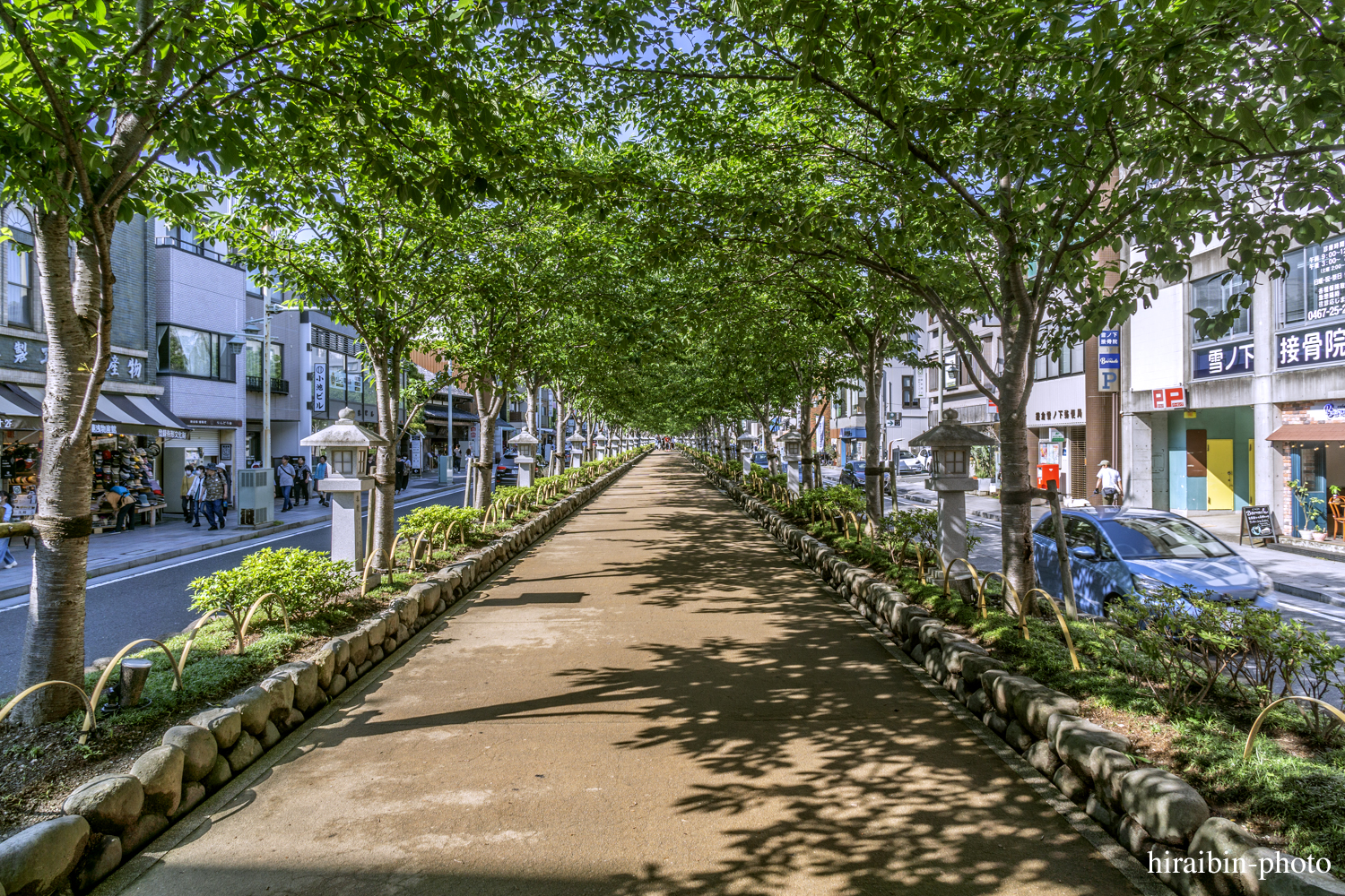 鎌倉・鶴岡八幡宮_photolog.01