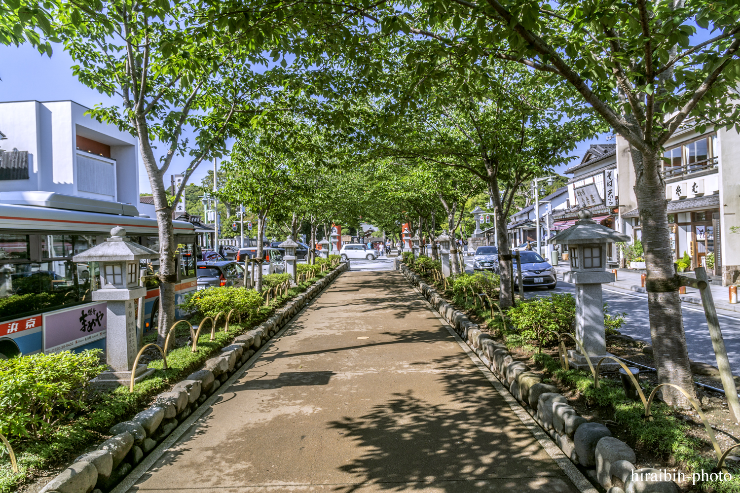 鎌倉・鶴岡八幡宮_photolog.02