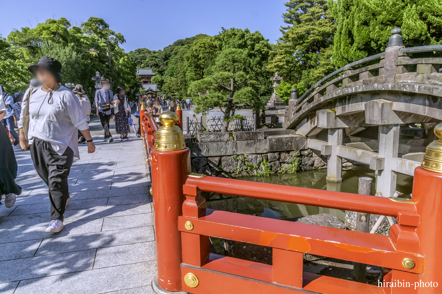 鎌倉・鶴岡八幡宮_photolog.14