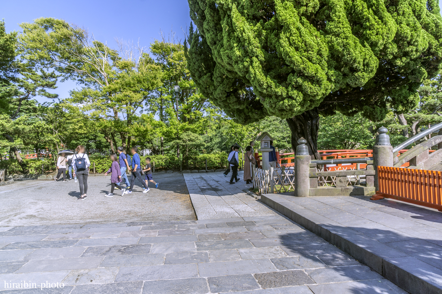 鎌倉・鶴岡八幡宮_photolog.16