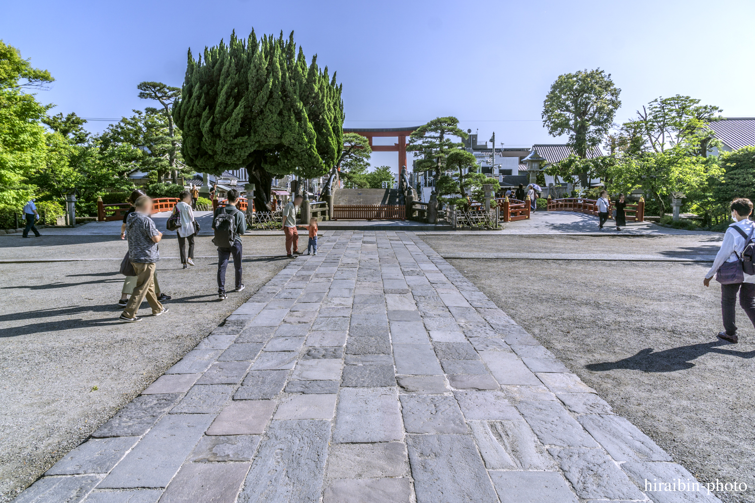 鎌倉・鶴岡八幡宮_photolog.17