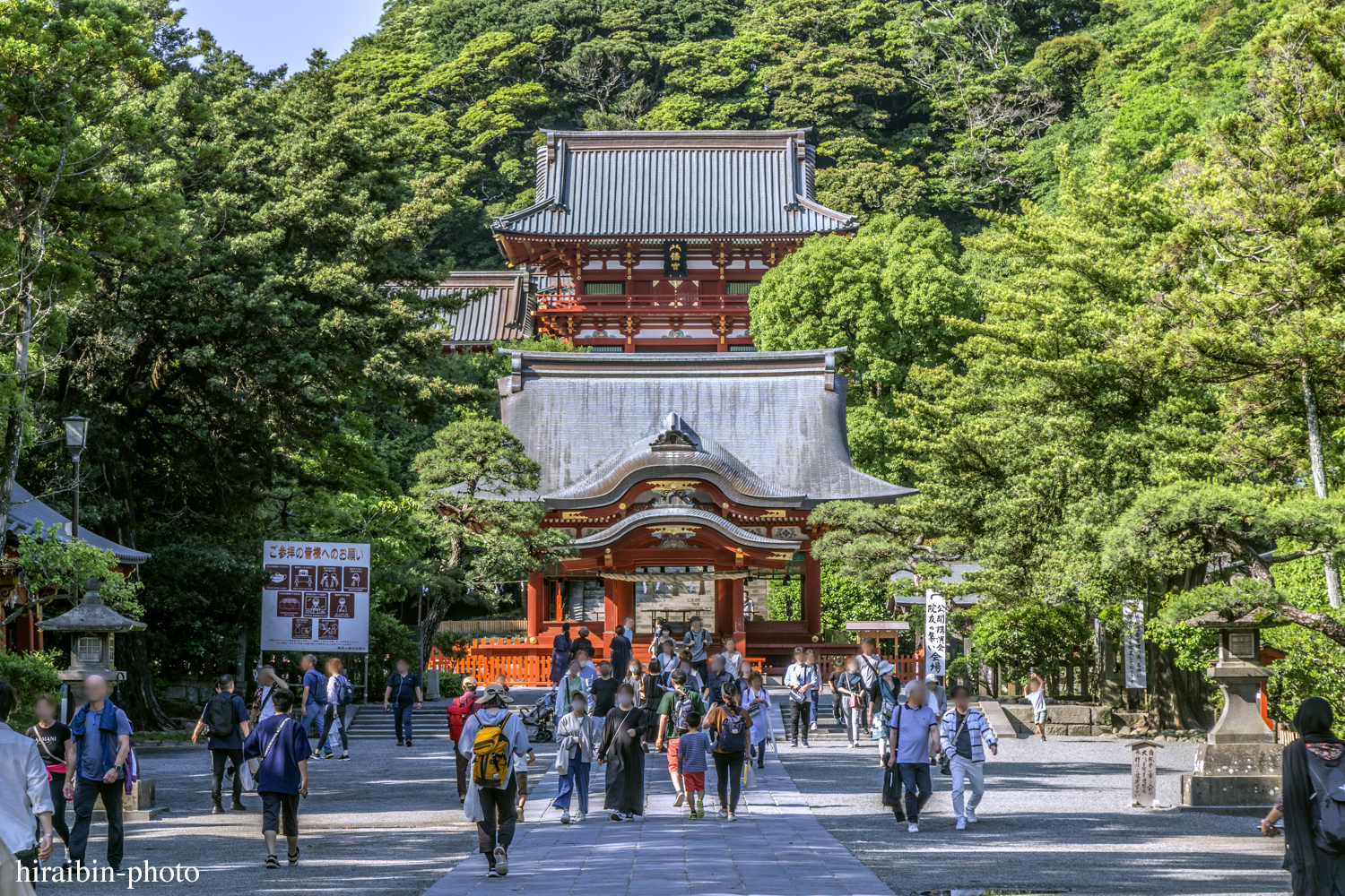 鎌倉・鶴岡八幡宮_photolog.29