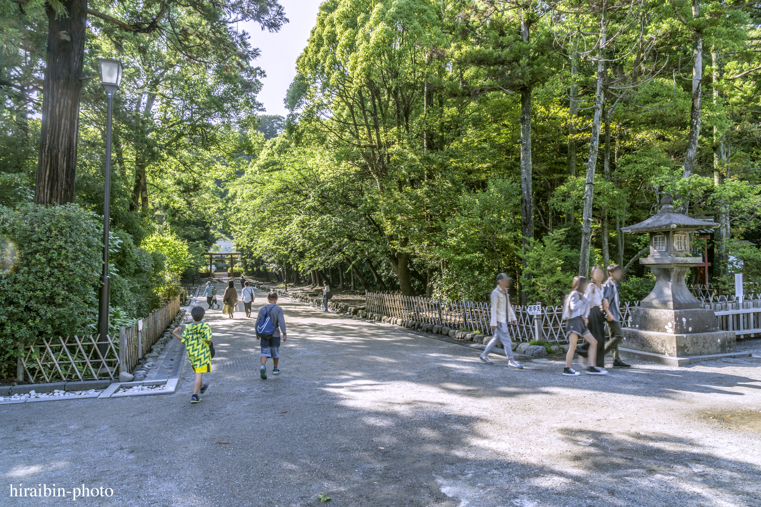 鎌倉・鶴岡八幡宮_photolog.25