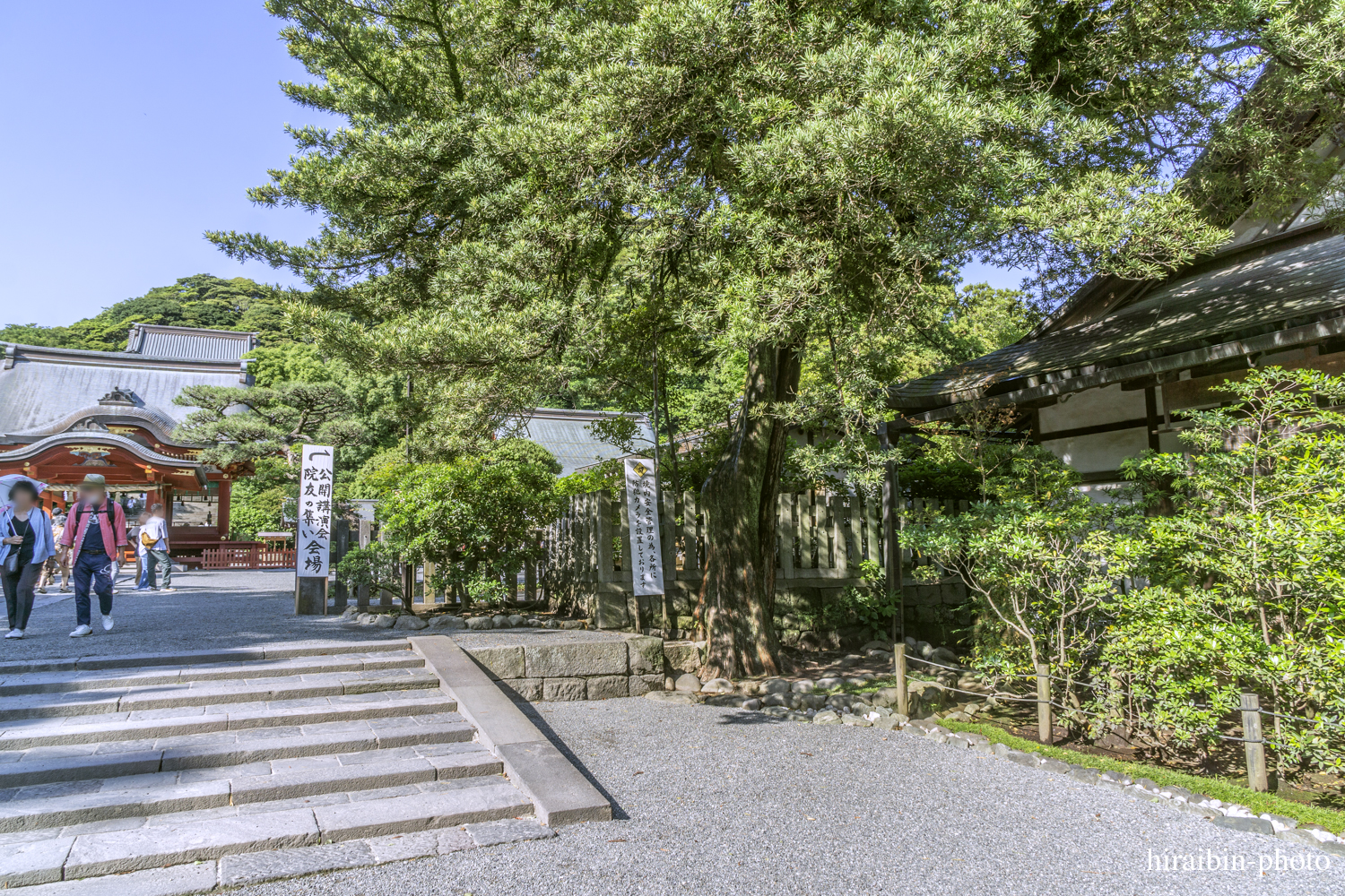 鎌倉・鶴岡八幡宮_photolog.34