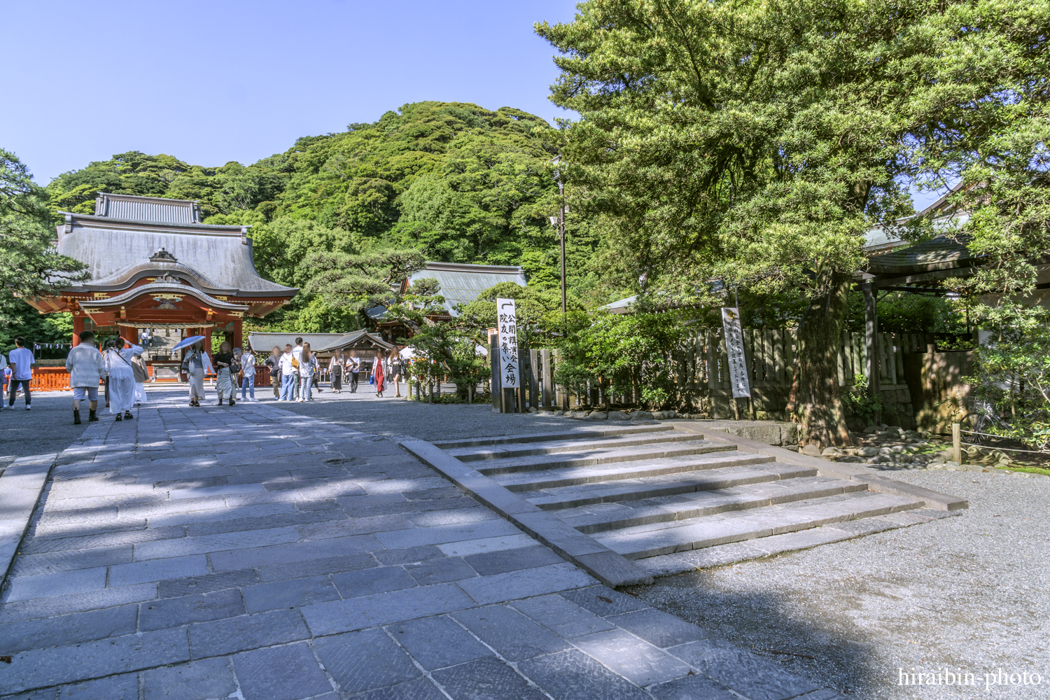 鎌倉・鶴岡八幡宮_photolog.32