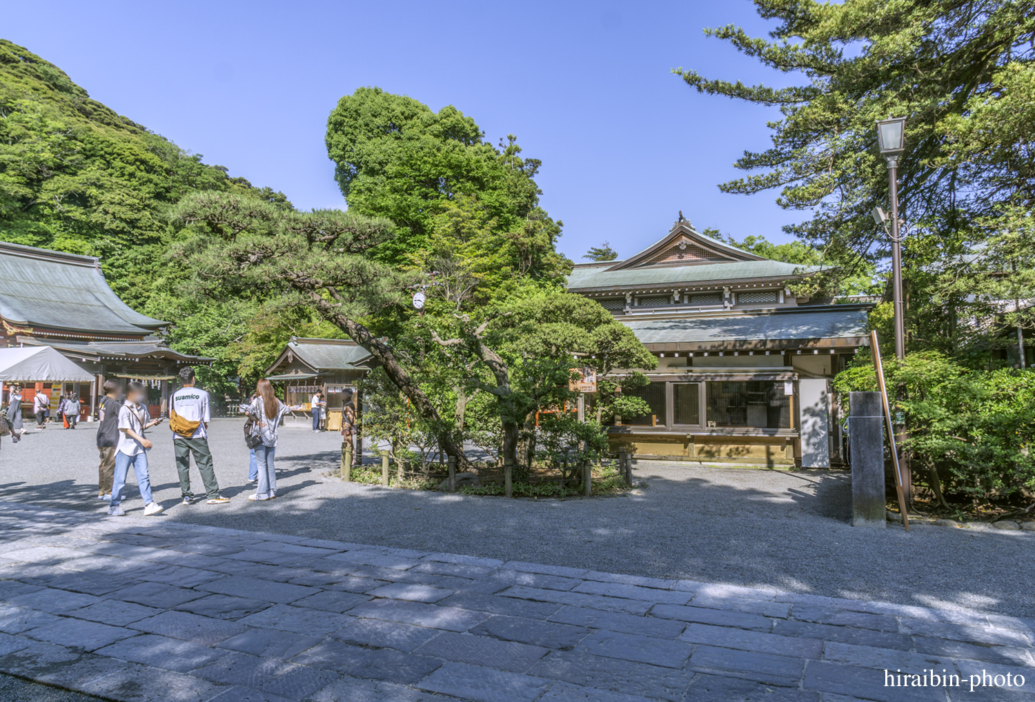 鎌倉・鶴岡八幡宮_photolog.36