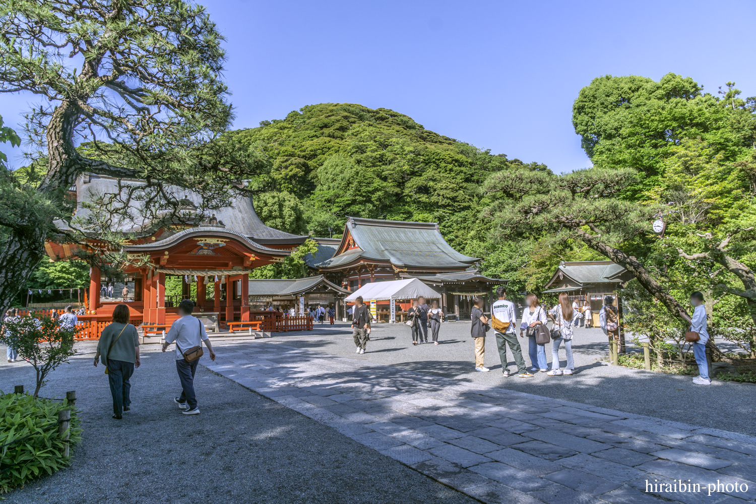 鎌倉・鶴岡八幡宮_photolog.35